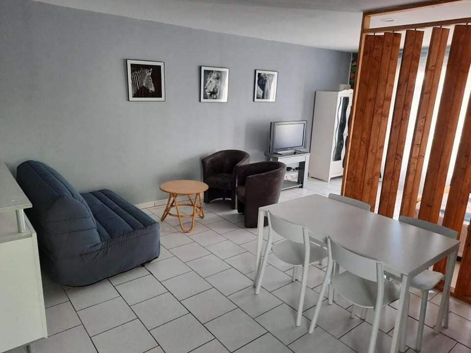 Holiday home Entre Zoo Et Chateaux De La Loire